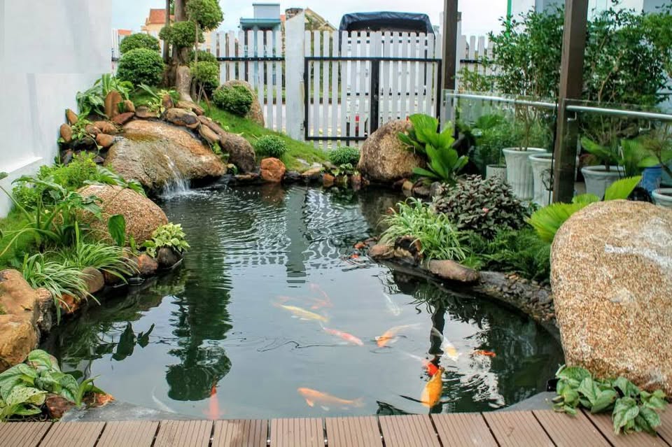 Xu hướng thiết kế, thi công hồ cá Koi đơn giản