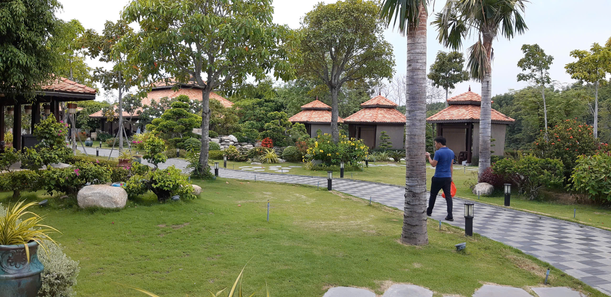 Thi công Cảnh quan Sân vườn dự án Resort Cần giờ